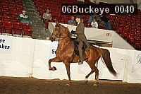 06buckeye_0040 proof