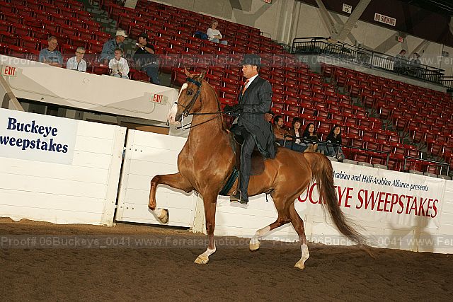 Proof 06buckeye_0041