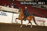 06buckeye_0041 proof