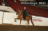 06buckeye_0042 proof
