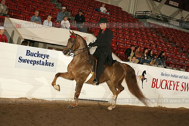 Proof 06buckeye_0043