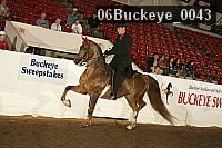 06buckeye_0043 proof