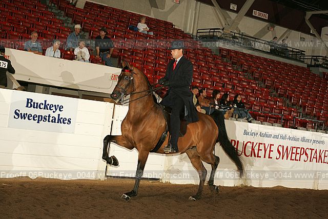 Proof 06buckeye_0044