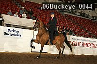06buckeye_0044 proof