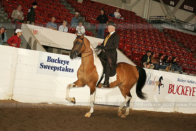 Proof 06buckeye_0045