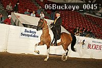 06buckeye_0045 proof