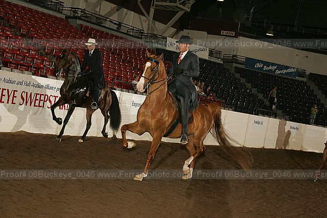 Proof 06buckeye_0046