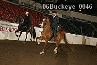 06buckeye_0046 proof