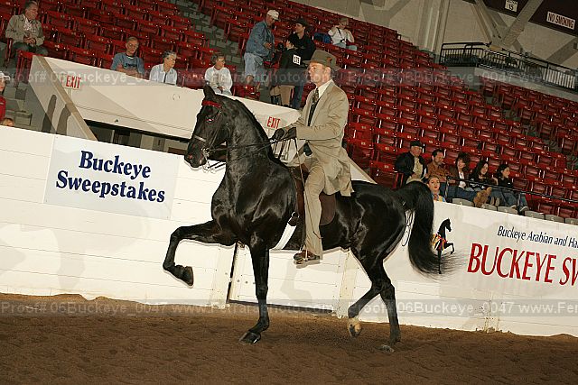 Proof 06buckeye_0047