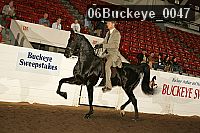 06buckeye_0047 proof