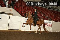 06buckeye_0048 proof