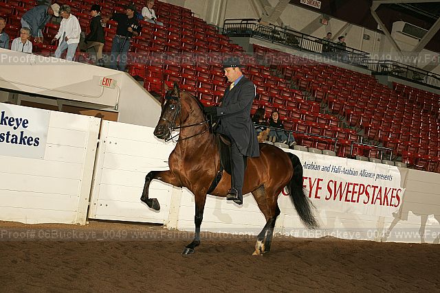 Proof 06buckeye_0049