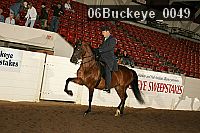 06buckeye_0049 proof