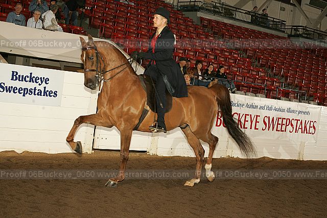 Proof 06buckeye_0050
