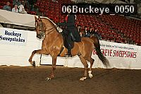 06buckeye_0050 proof
