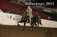 06buckeye_0051 proof