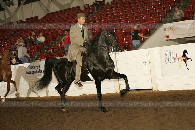 Proof 06buckeye_0052