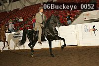 06buckeye_0052 proof