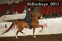06buckeye_0053 proof