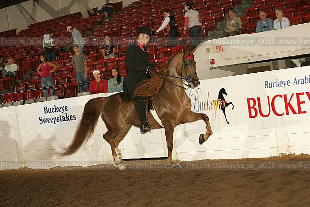 Proof 06buckeye_0055