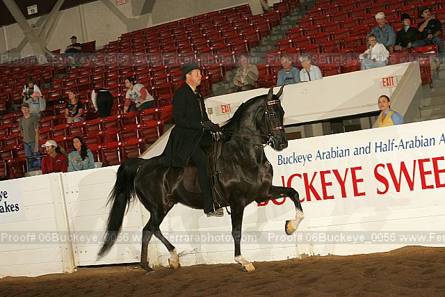 Proof 06buckeye_0056