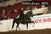 06buckeye_0056 proof