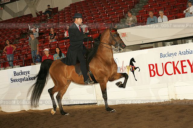 Proof 06buckeye_0057