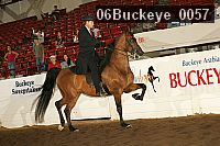 06buckeye_0057 proof