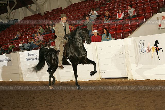 Proof 06buckeye_0058