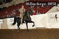 06buckeye_0058 proof
