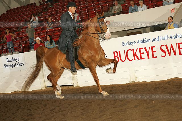 Proof 06buckeye_0059