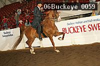 06buckeye_0059 proof