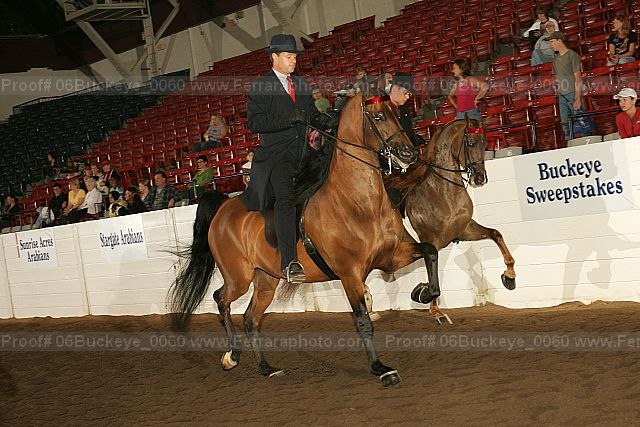 Proof 06buckeye_0060