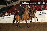 06buckeye_0060 proof