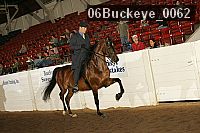 06buckeye_0062 proof