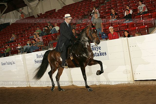 Proof 06buckeye_0063