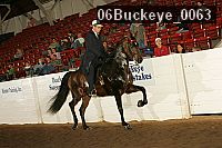 06buckeye_0063 proof