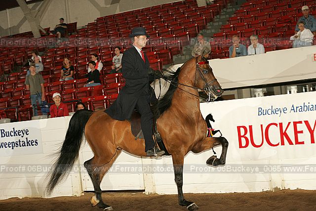 Proof 06buckeye_0065
