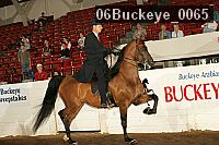 06buckeye_0065 proof