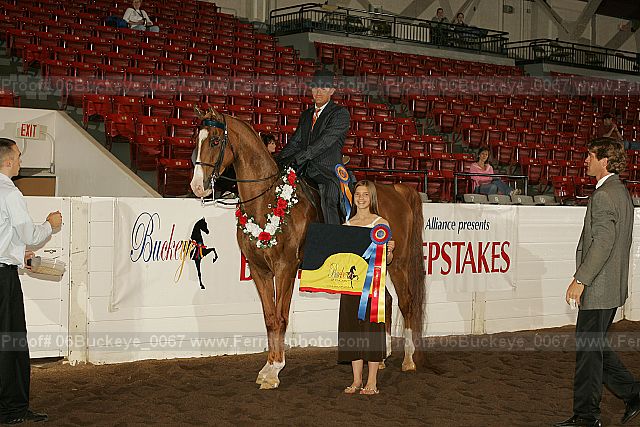 Proof 06buckeye_0067