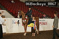 06buckeye_0067 proof