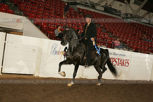 Proof 06buckeye_0068