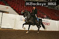 06buckeye_0068 proof