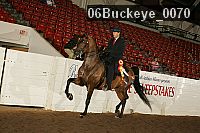 06buckeye_0070 proof