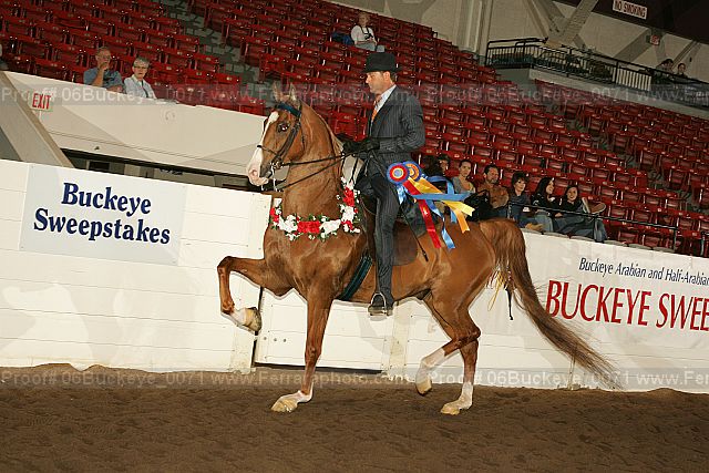 Proof 06buckeye_0071