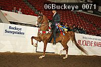 06buckeye_0071 proof