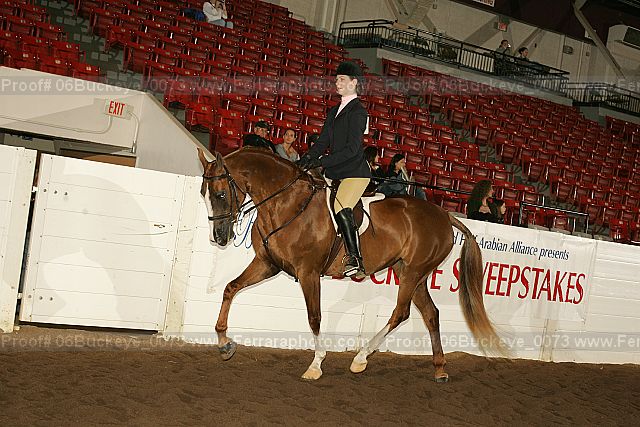 Proof 06buckeye_0073