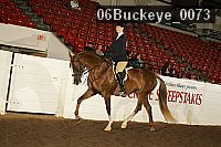 06buckeye_0073 proof