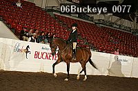 06buckeye_0077 proof