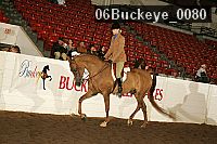 06buckeye_0080 proof
